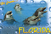 Postcard
