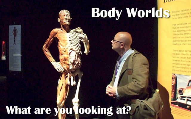 Bodyworld Exhibition